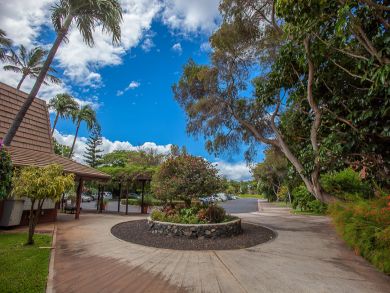 Kihei Condo 892595